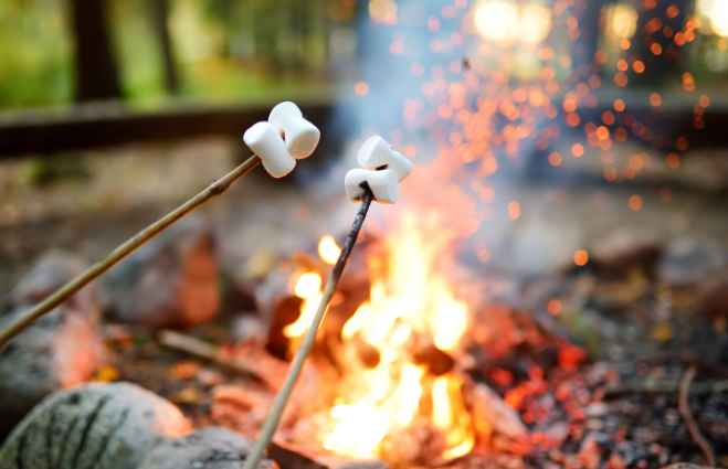 Aquatic-invasives-101-powerpoint-content-37-e1592254490536