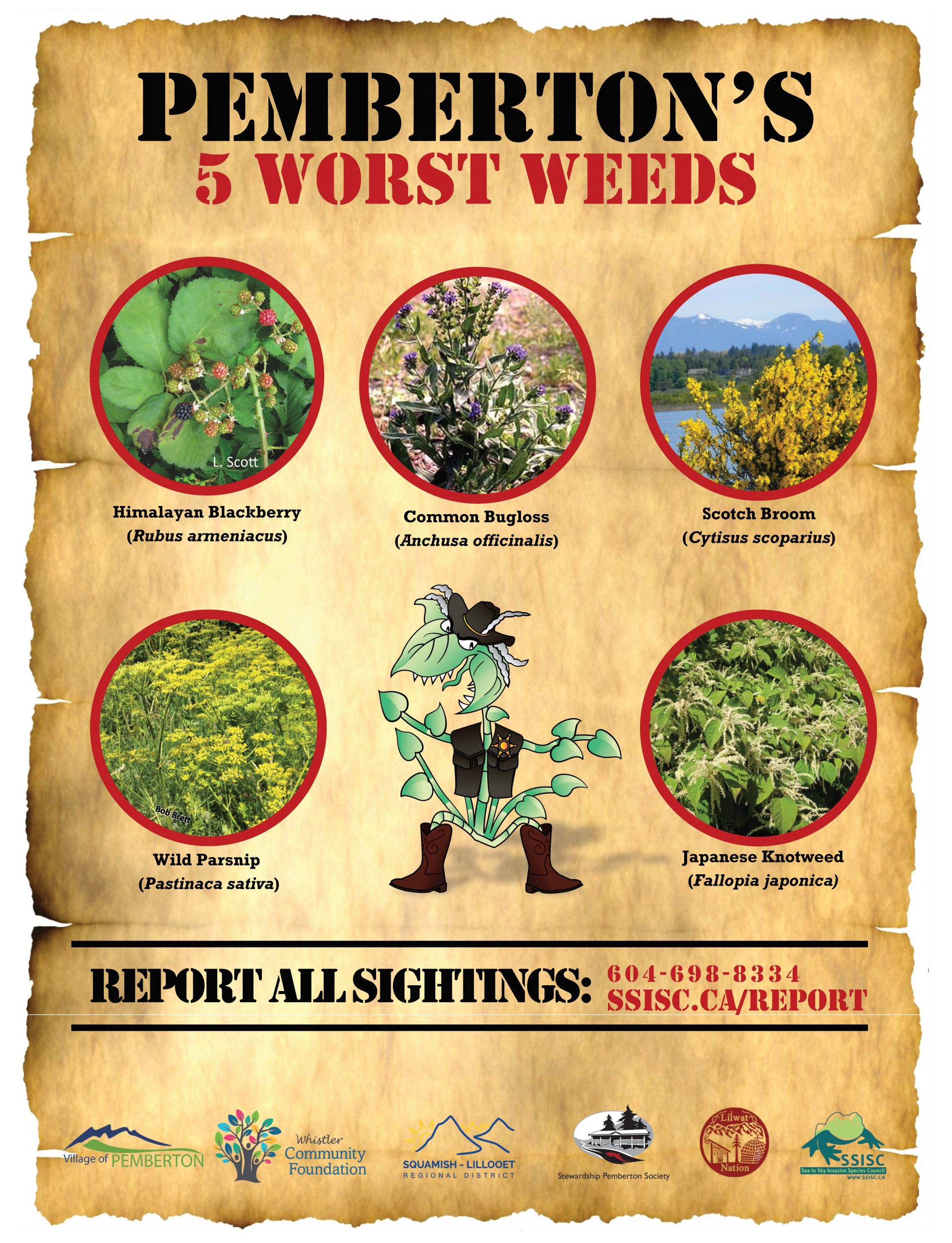Pembertons-Most-Wanted-5-in-1-poster-Sheriff-Knotweed-1-scaled
