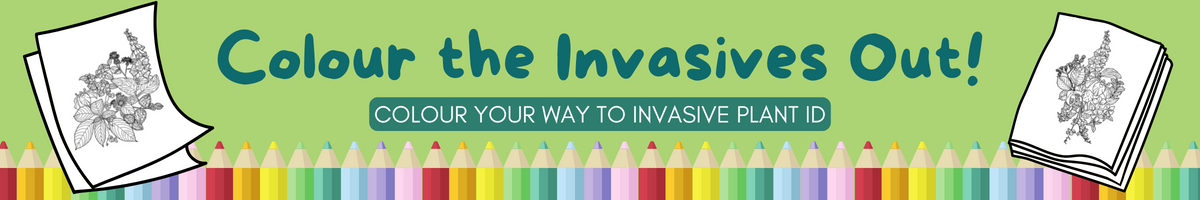 Colour the Invasives Out!