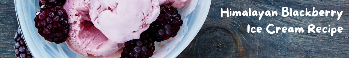 Recipe: Himalayan Blackberry Real-Fruit Ice Cream