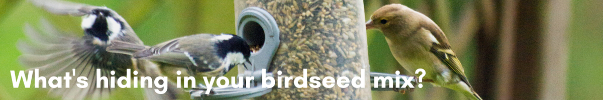 What’s hiding in your birdseed mix?