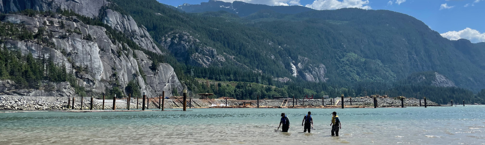 Crab-Team-updates-blog-post-images-2023-2