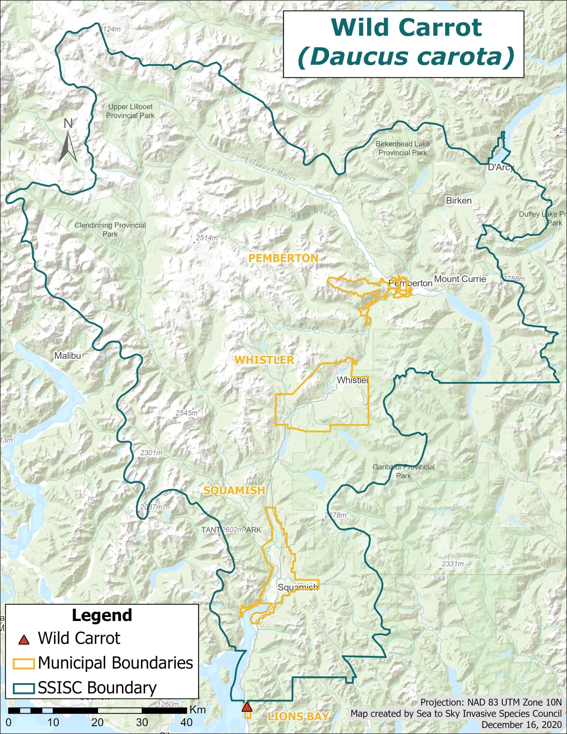 WildCarrot_IAPP_SSISCRegion_SpeciesProfilePageMap_2020-scaled