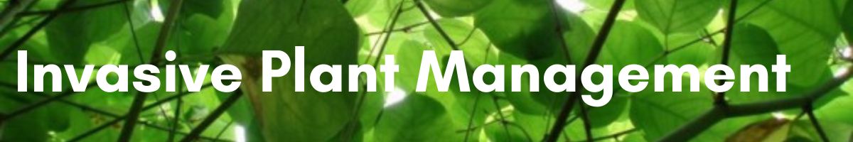 Invasive-Plant-Management-Banner-mobile