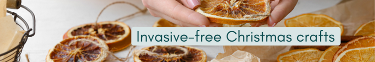 Invasive-Free Holiday Crafts
