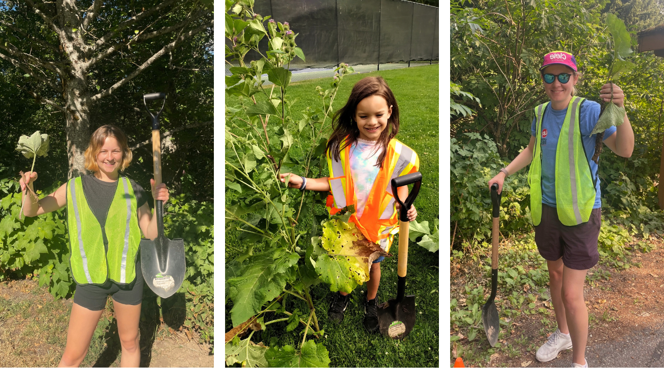 Banish-Burdock-is-Back