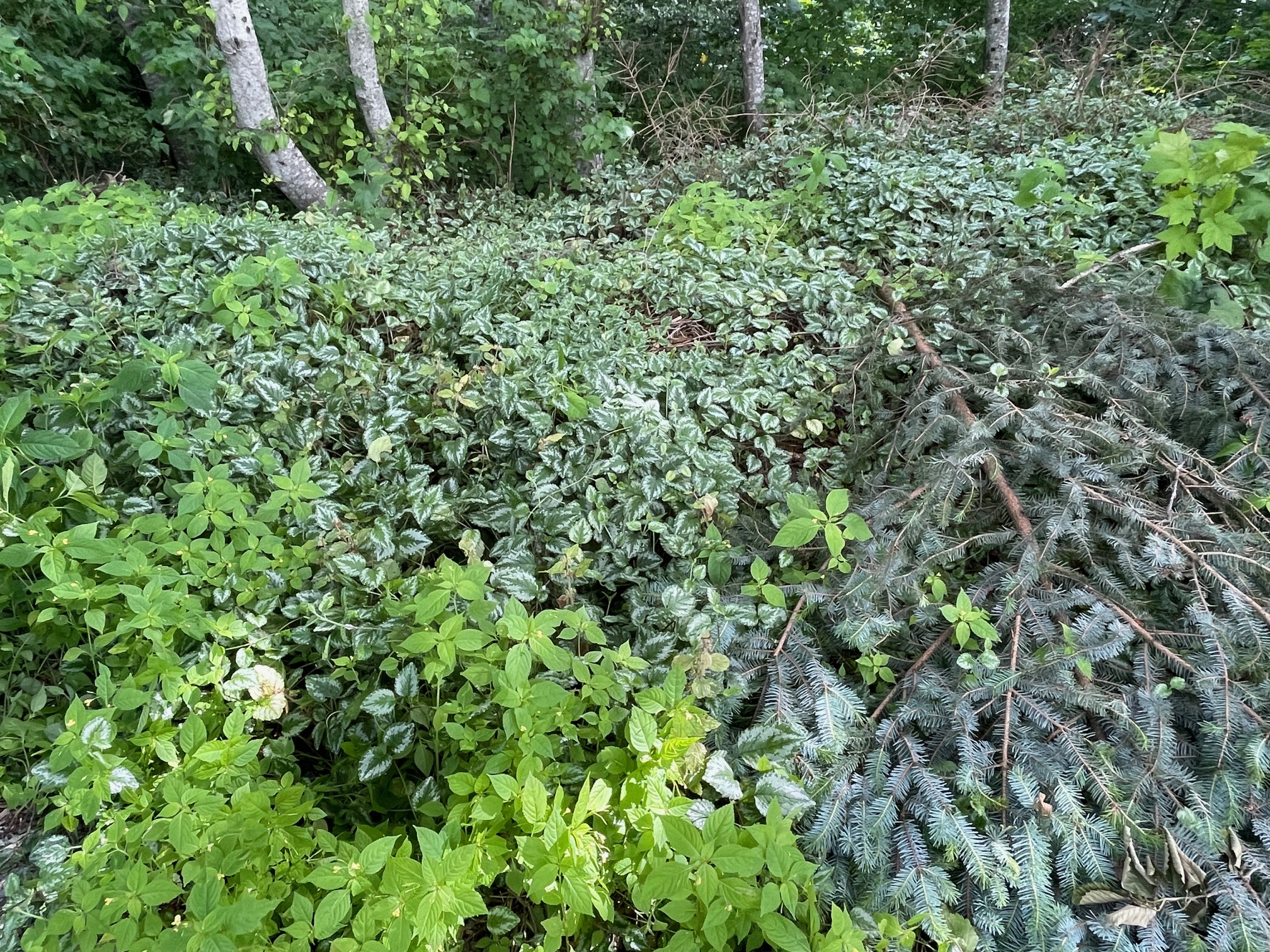 2-After
