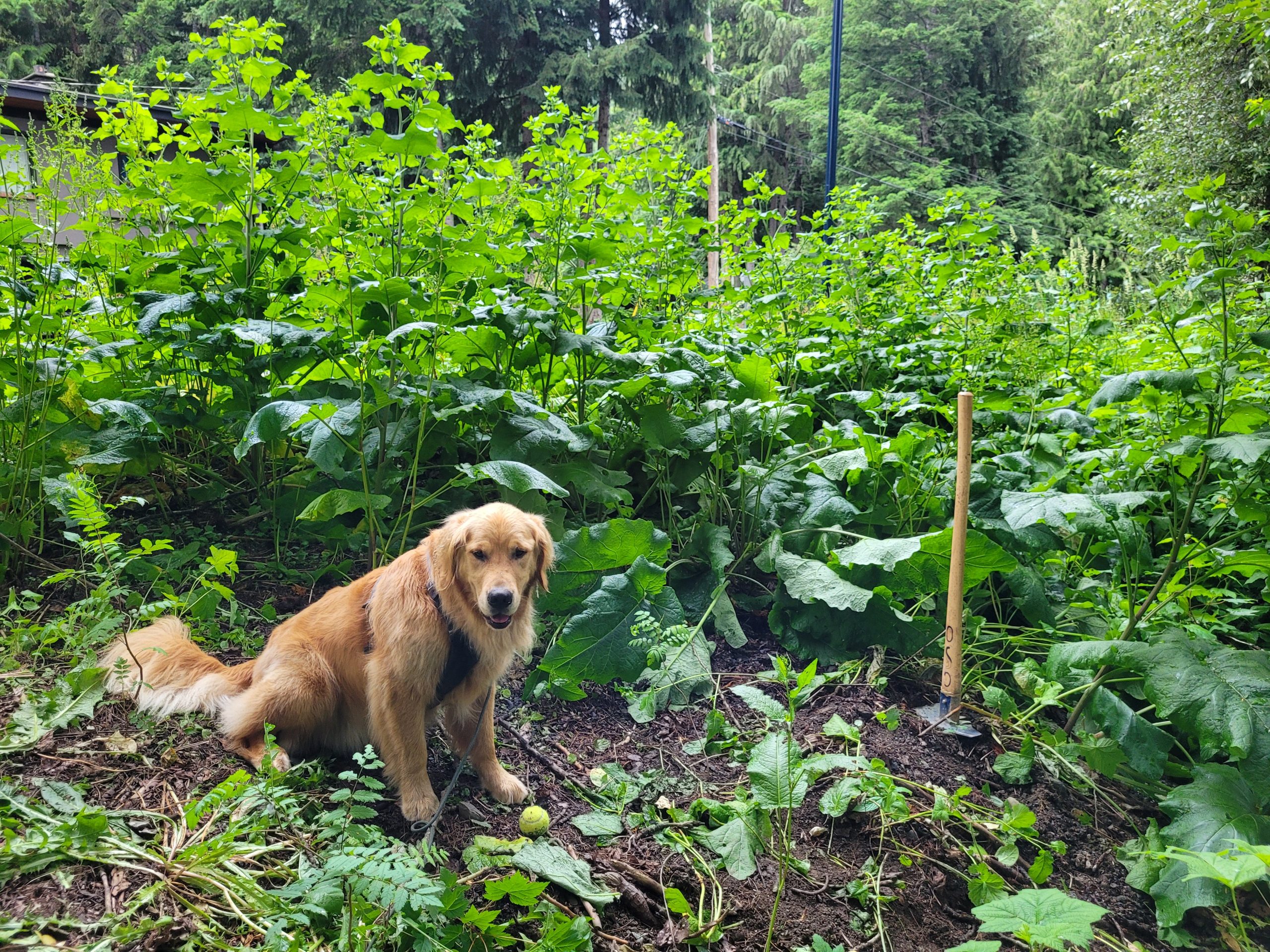 20220715_192851-scaled