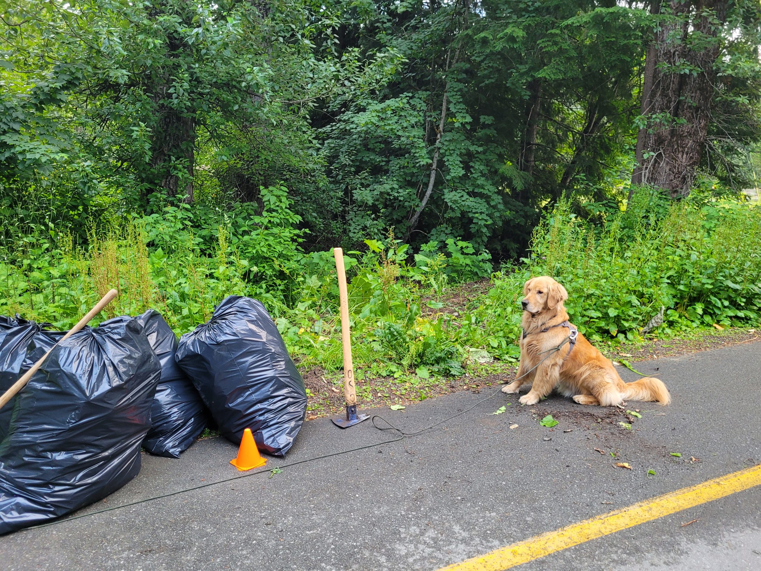 20220715_202426-scaled