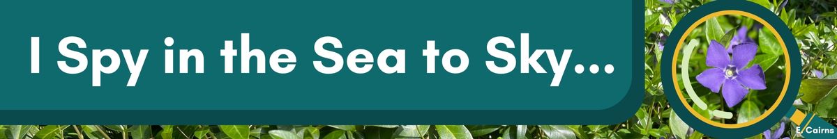 I Spy in the Sea to Sky…