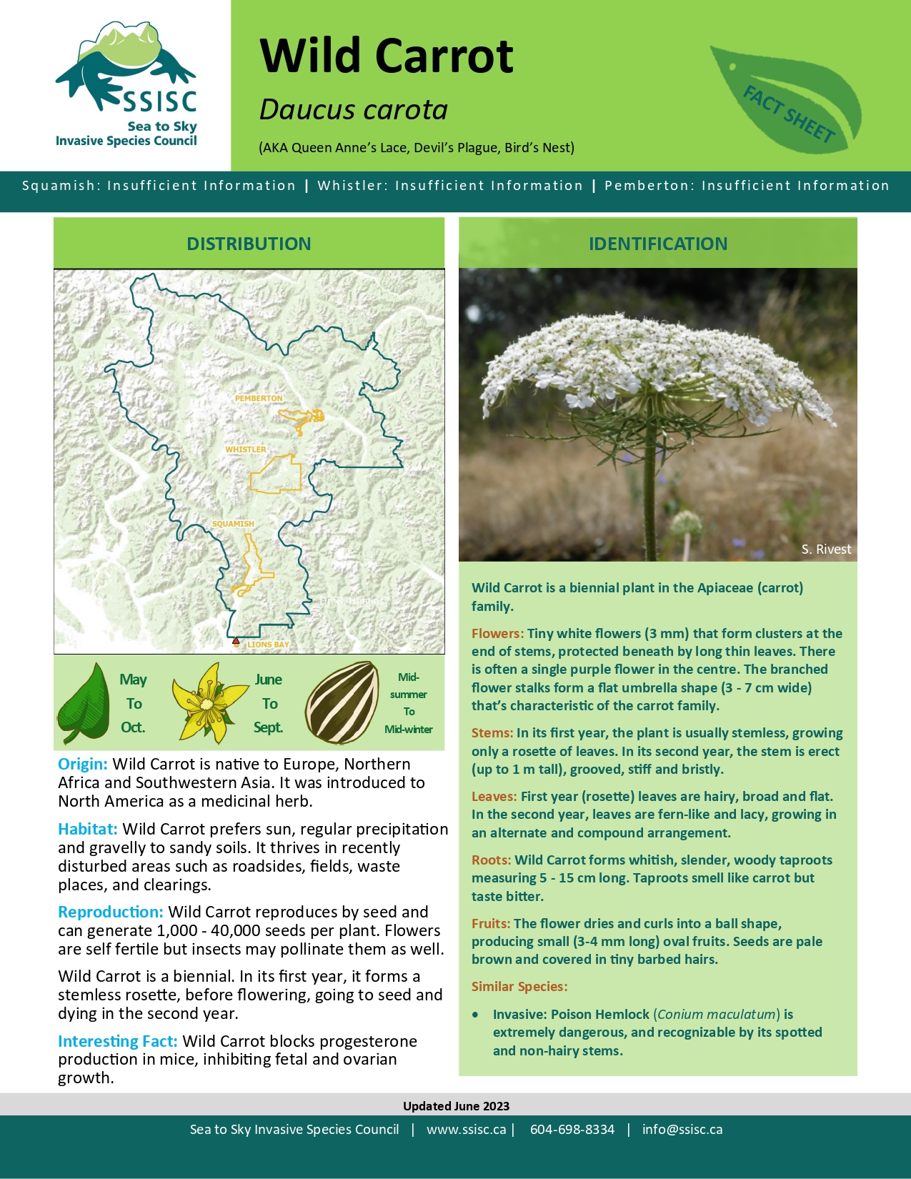 Wild-Carrot-Factsheet-2023_page-0001