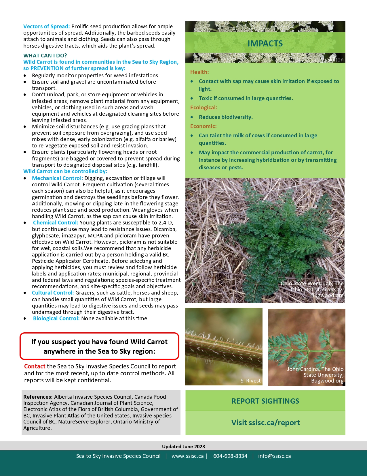 Wild-Carrot-Factsheet-2023_page-0002
