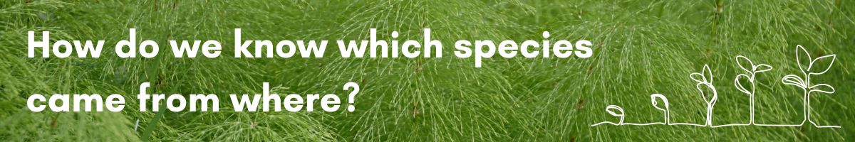 How do we know which species came from where?