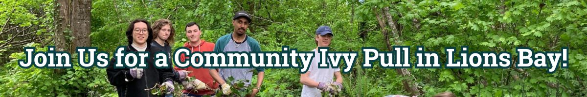 Join Us and Remove Ivy in Lions Bay!