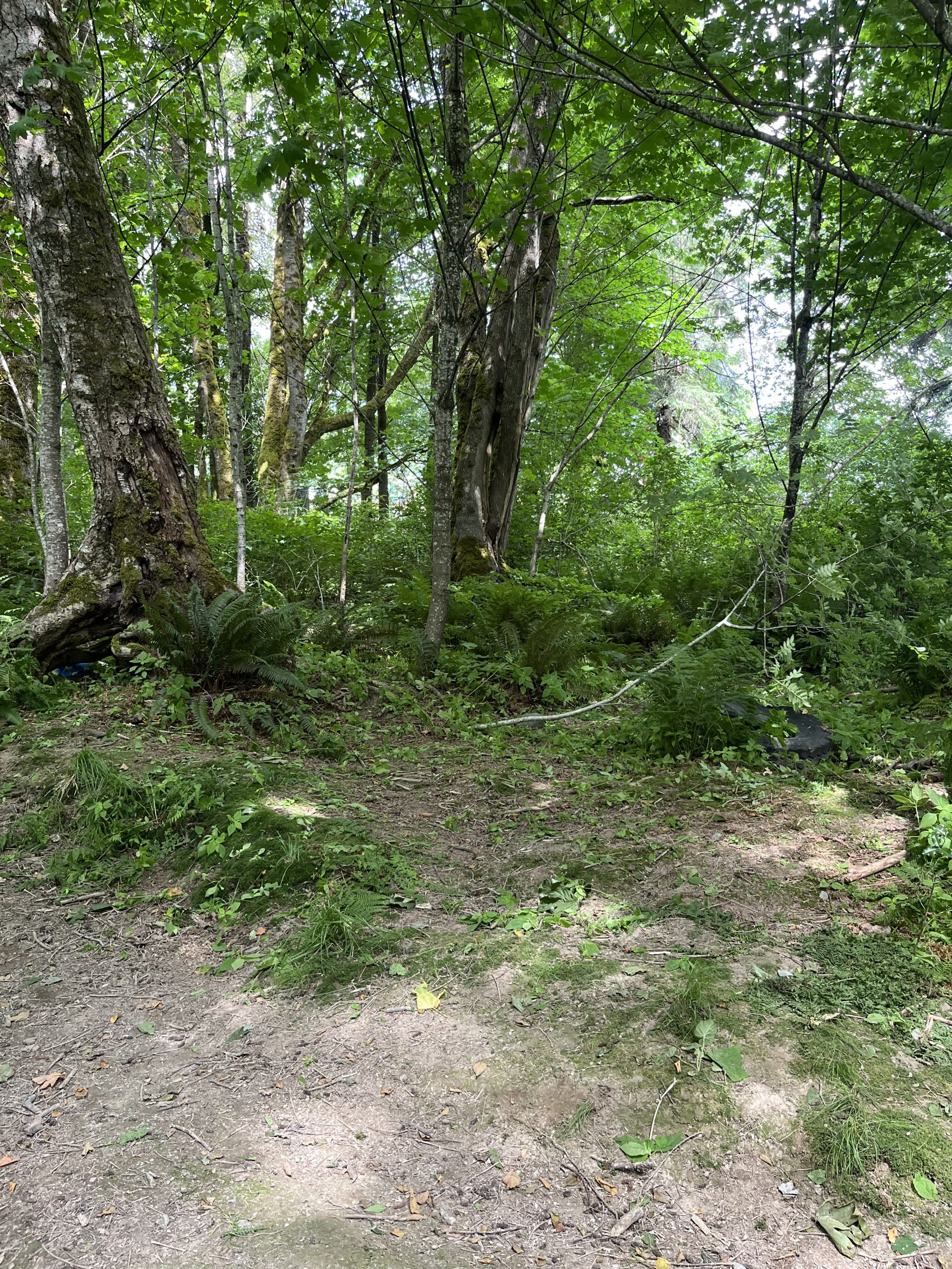 2025-06-18_MageeSt_After-scaled