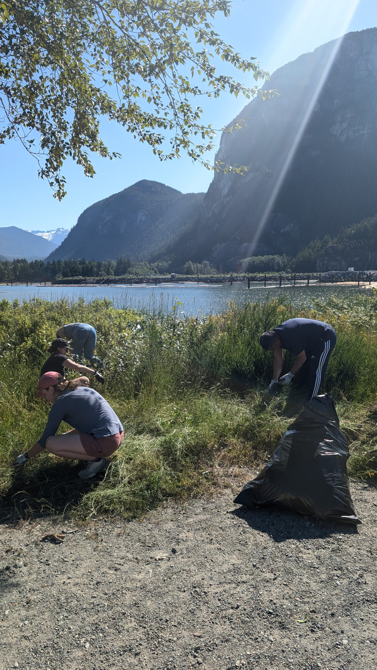 OceansDay_WeedPull-scaled