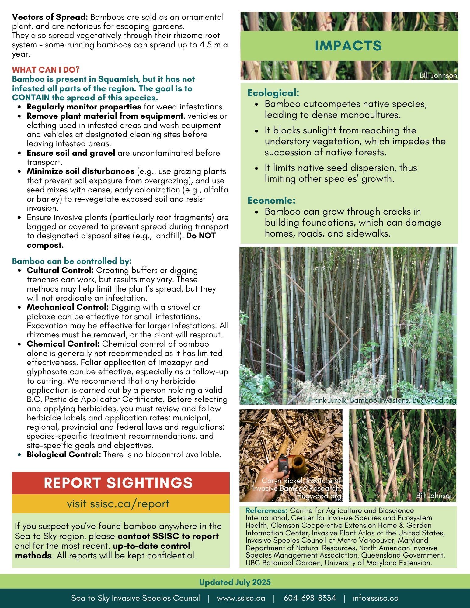 Bamboo-Factsheet-2