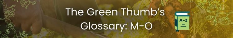 The Green Thumb’s Glossary: From M-O