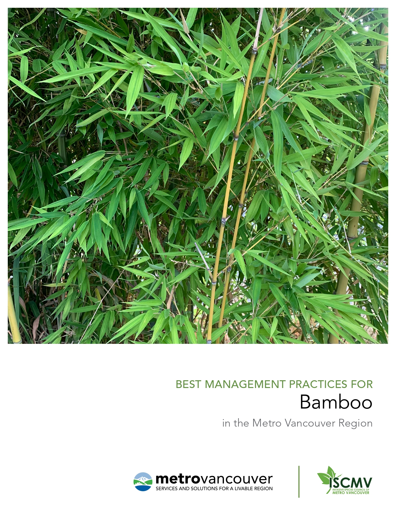 bamboo-best-management-practices_page-0001