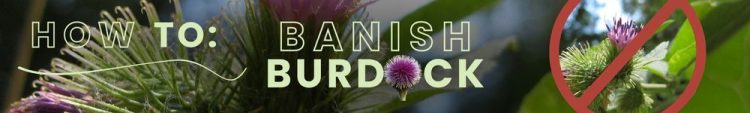 How To: Banish Burdock