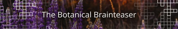 Introducing the Botanical Brainteaser!