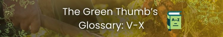 The Green Thumb’s Glossary: From V-X
