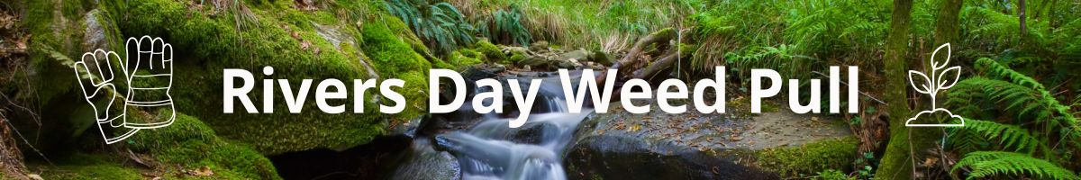 You’re Invited: Rivers Day Weed Pull