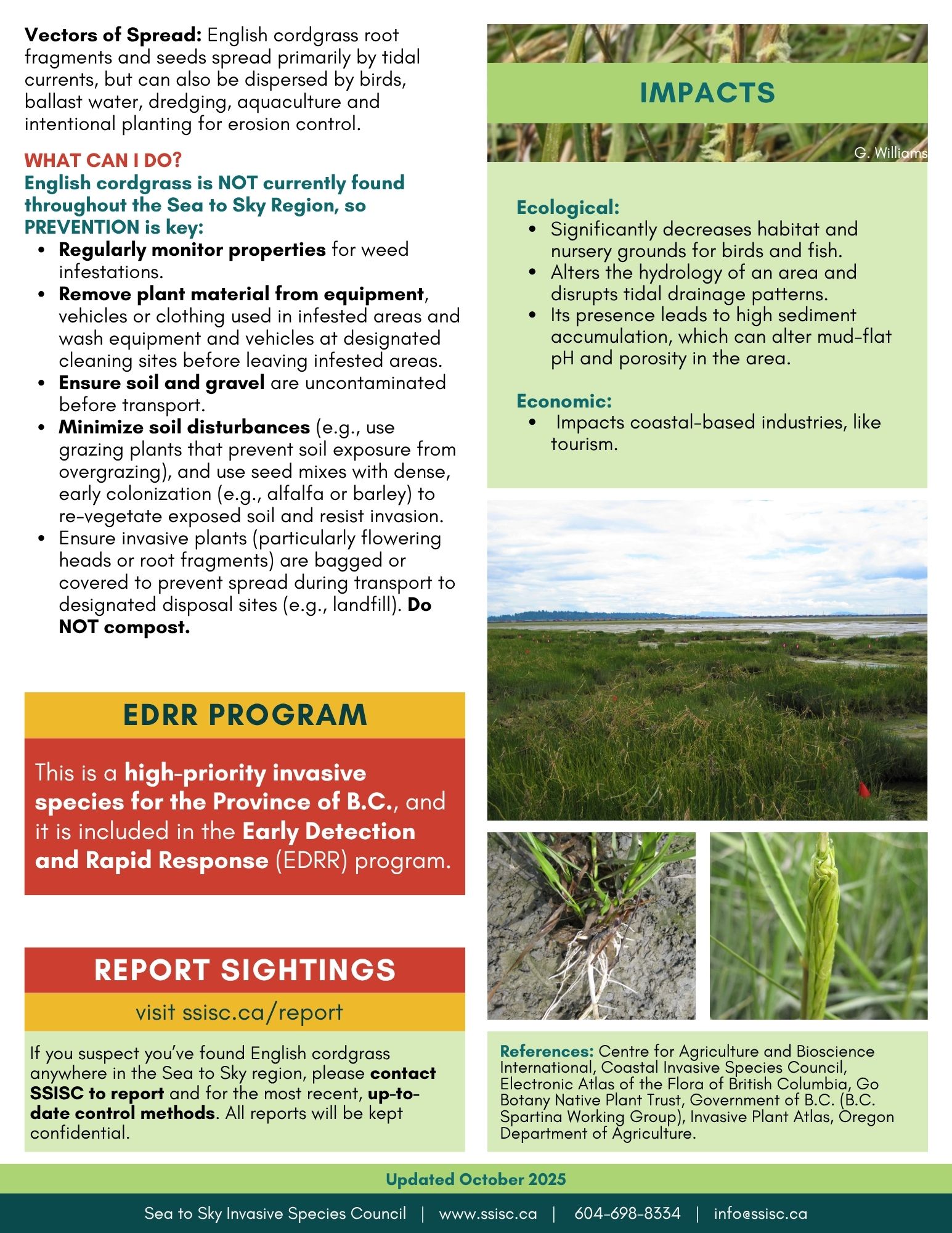 English-Cordgrass-Factsheet-2