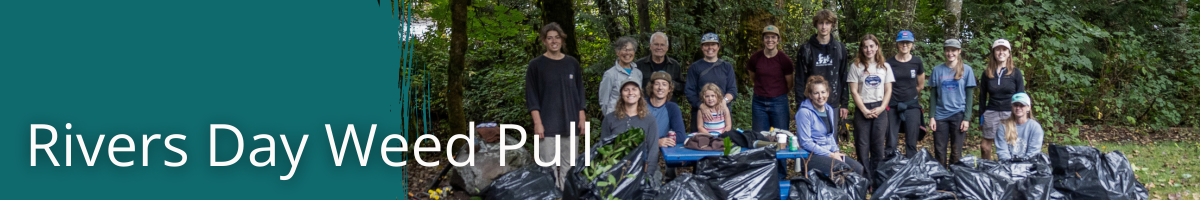 Rivers Day Weed Pull and Replanting Success!